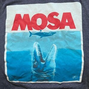 Mix of graphic tees / hoodies / and sweatpants